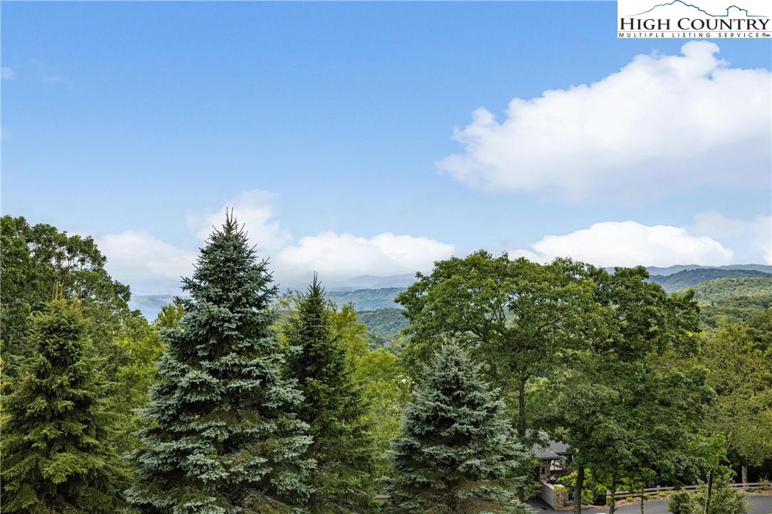 537 Oak Ridge Drive Boone, NC 28607 - Photo 5 of 50 Gallery Image 5