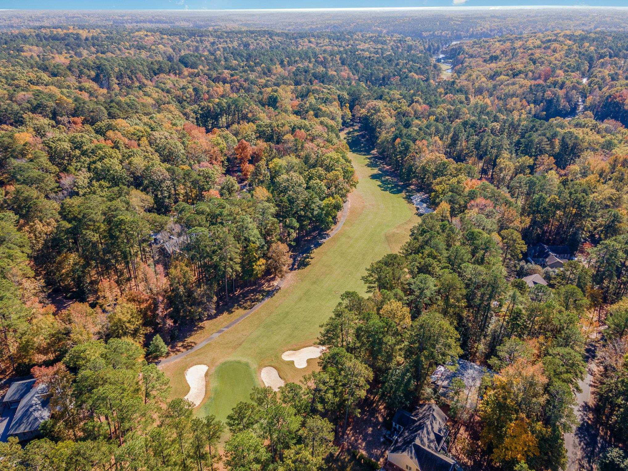 513 Argyll Drive Sanford, NC 27332 - Photo 27 of 31 an aerial view of residential houses with outdoor space and trees