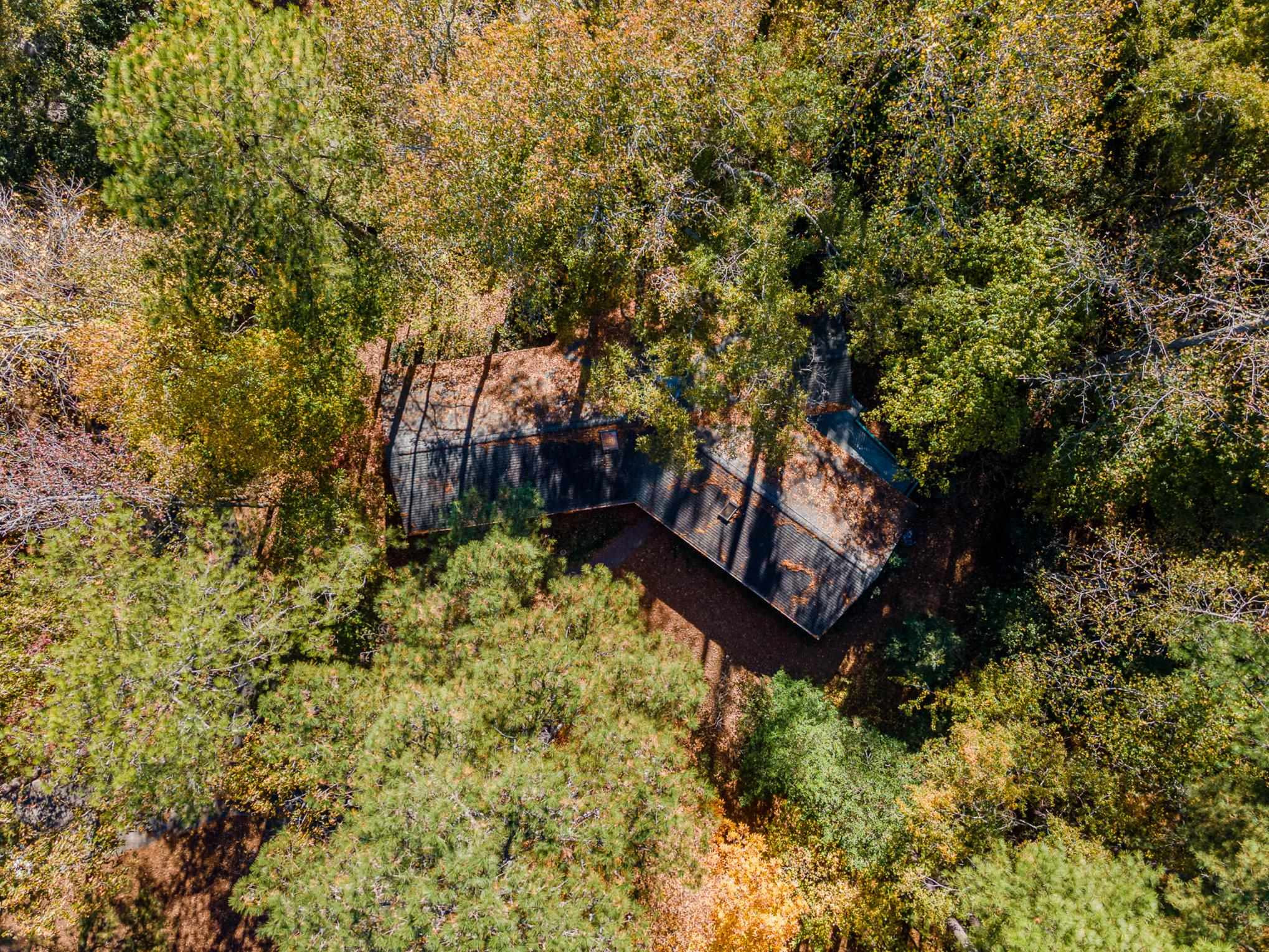 513 Argyll Drive Sanford, NC 27332 - Photo 28 of 31 a view of a yard