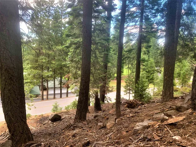 a view of outdoor space with trees