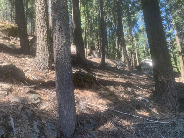 a backyard of a house with lots of green space
