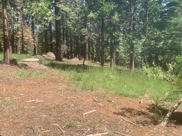 a view of a lake with a yard