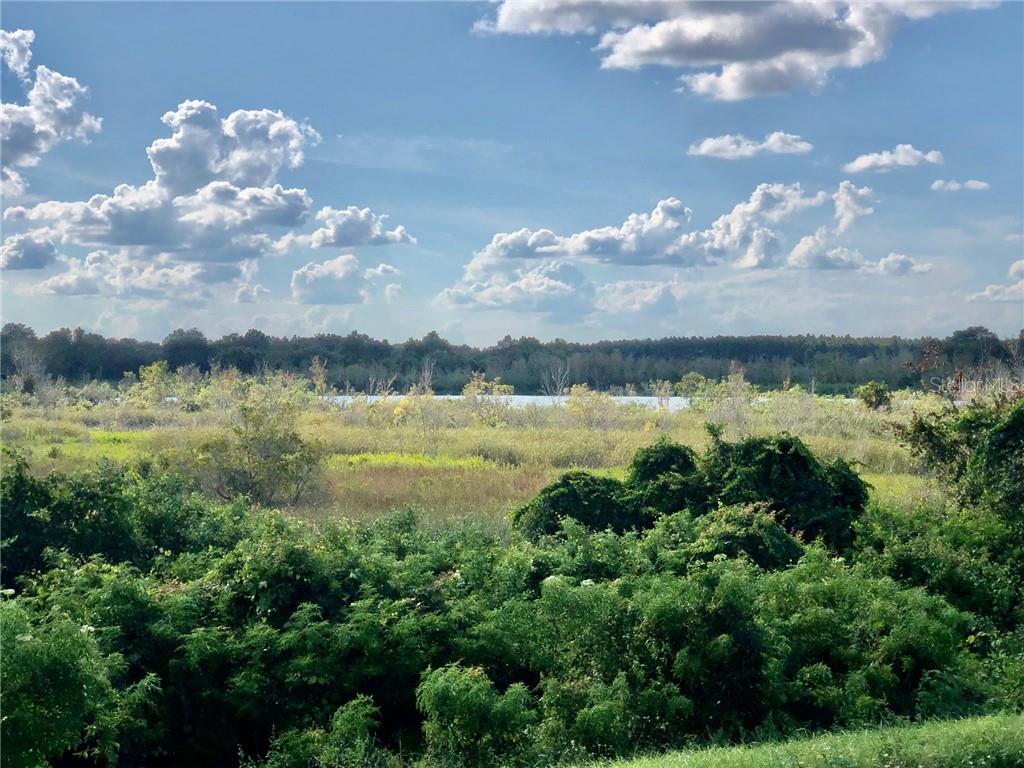 W Lake Umatilla, FL 32784 - Photo 3 of 8 a view of a lake