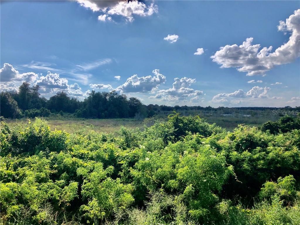 W Lake Umatilla, FL 32784 - Photo 4 of 8 a view of a houses with a yard