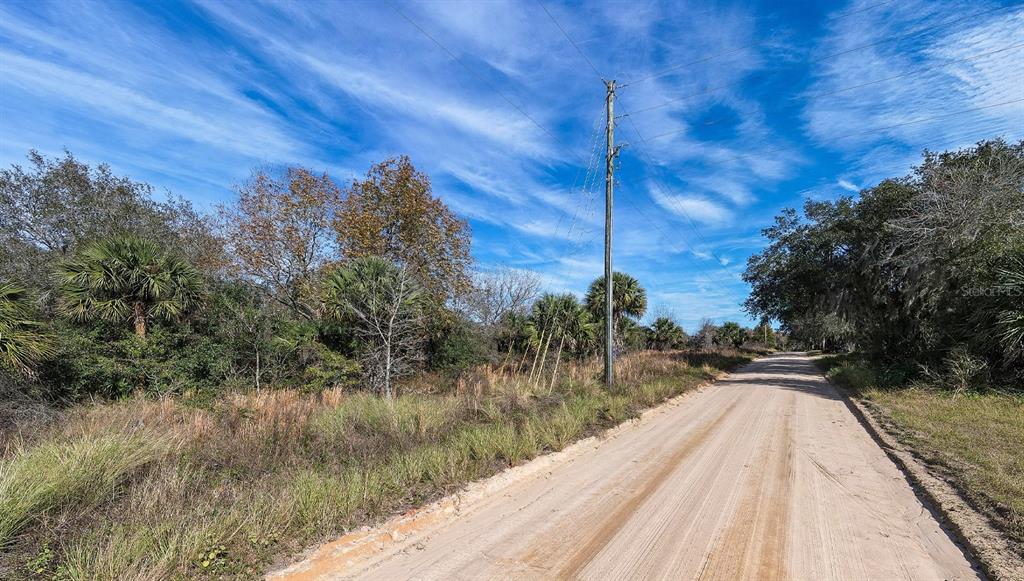 W Lake Umatilla, FL 32784 - Photo 5 of 8 a view of a backyard