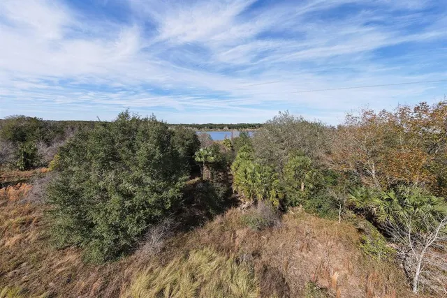 a view of a bunch of trees in a field