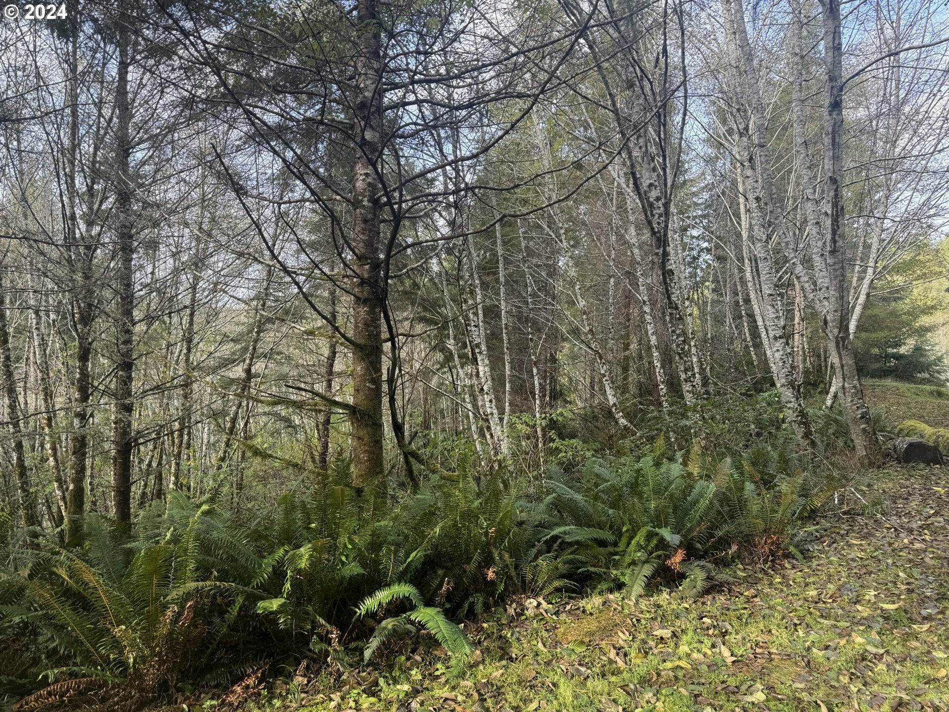 0 Potato Bottom Road, Unit 603 Lakeside, OR 97449 - Photo 20 of 27