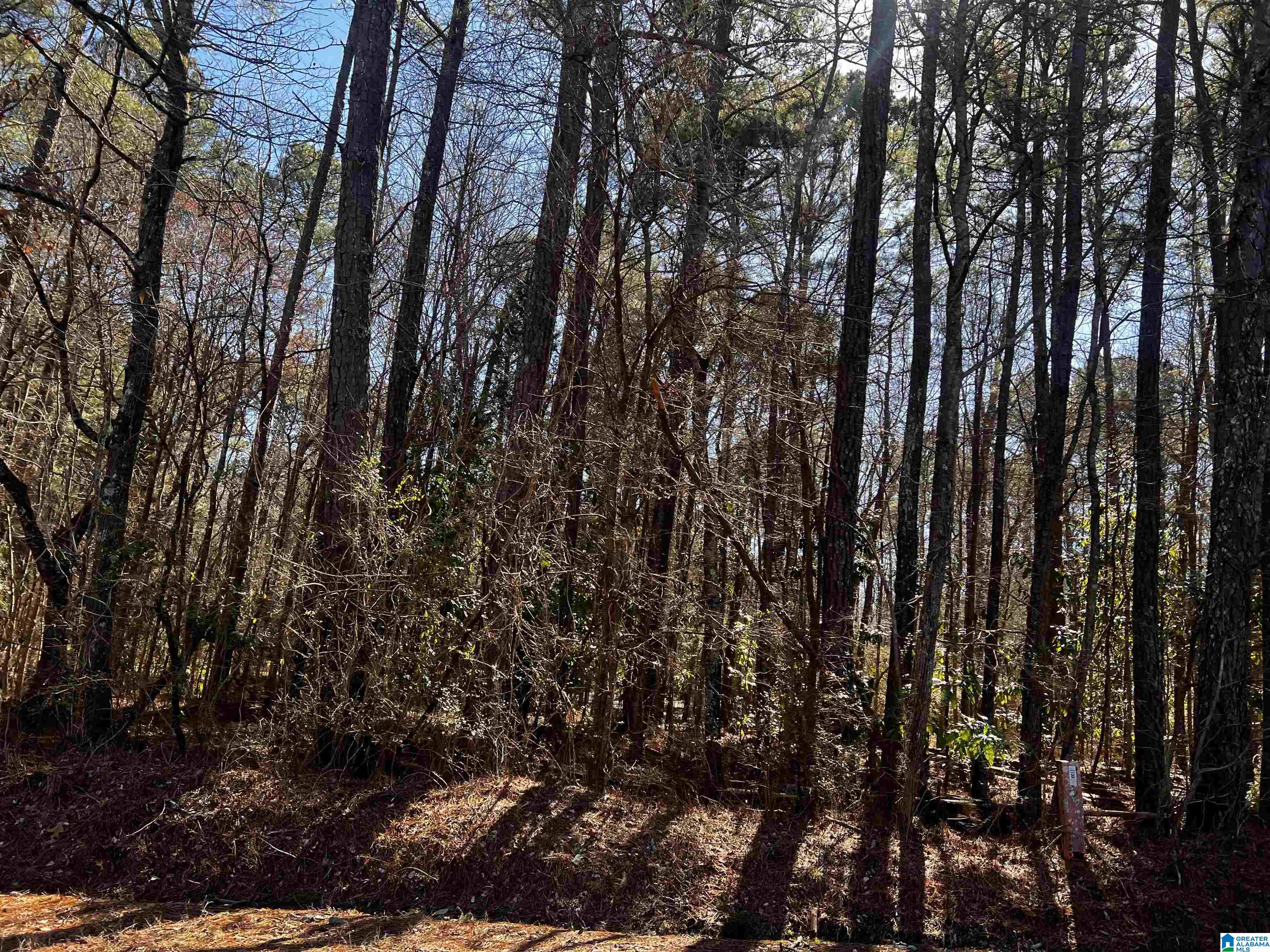 0 Wolf Creek Road North, Unit 10 ACRES Pell City, AL 35125 - Photo 15 of 15