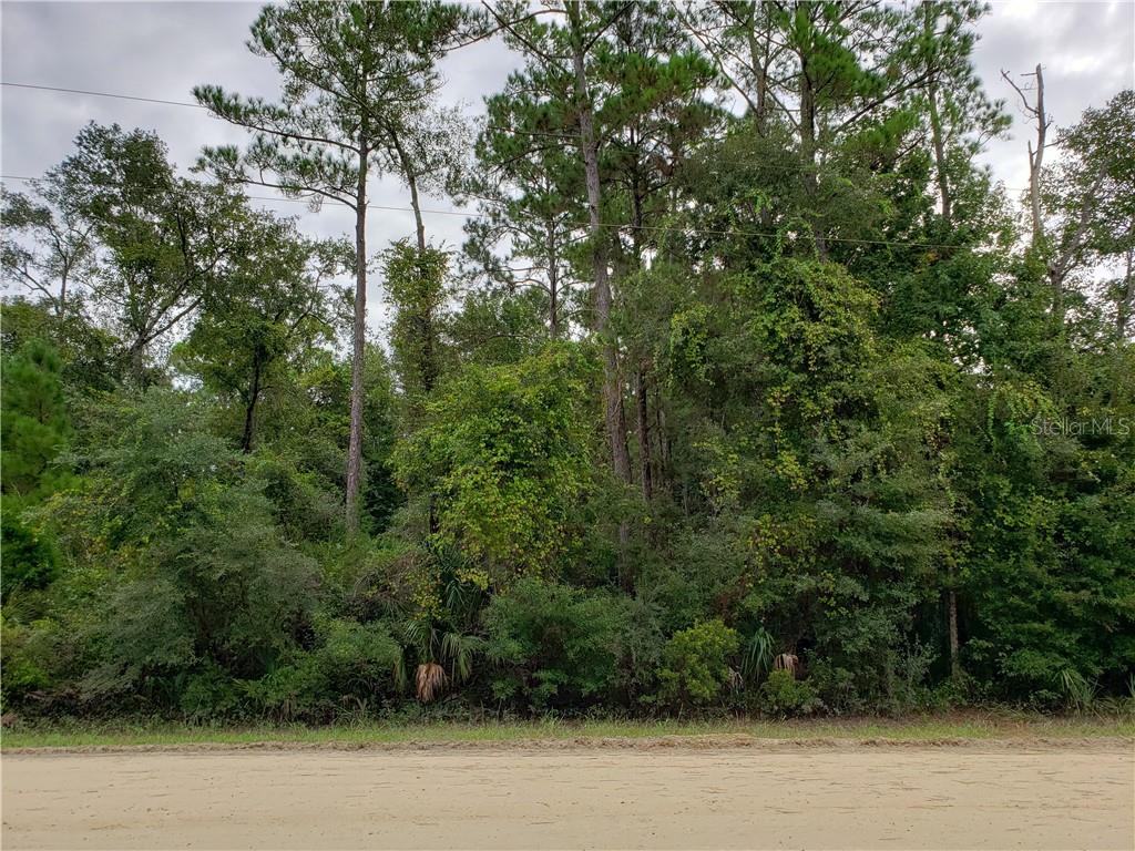 Southwest 96th Court Cedar Key, FL 32625 - Photo 1 of 1 Front view