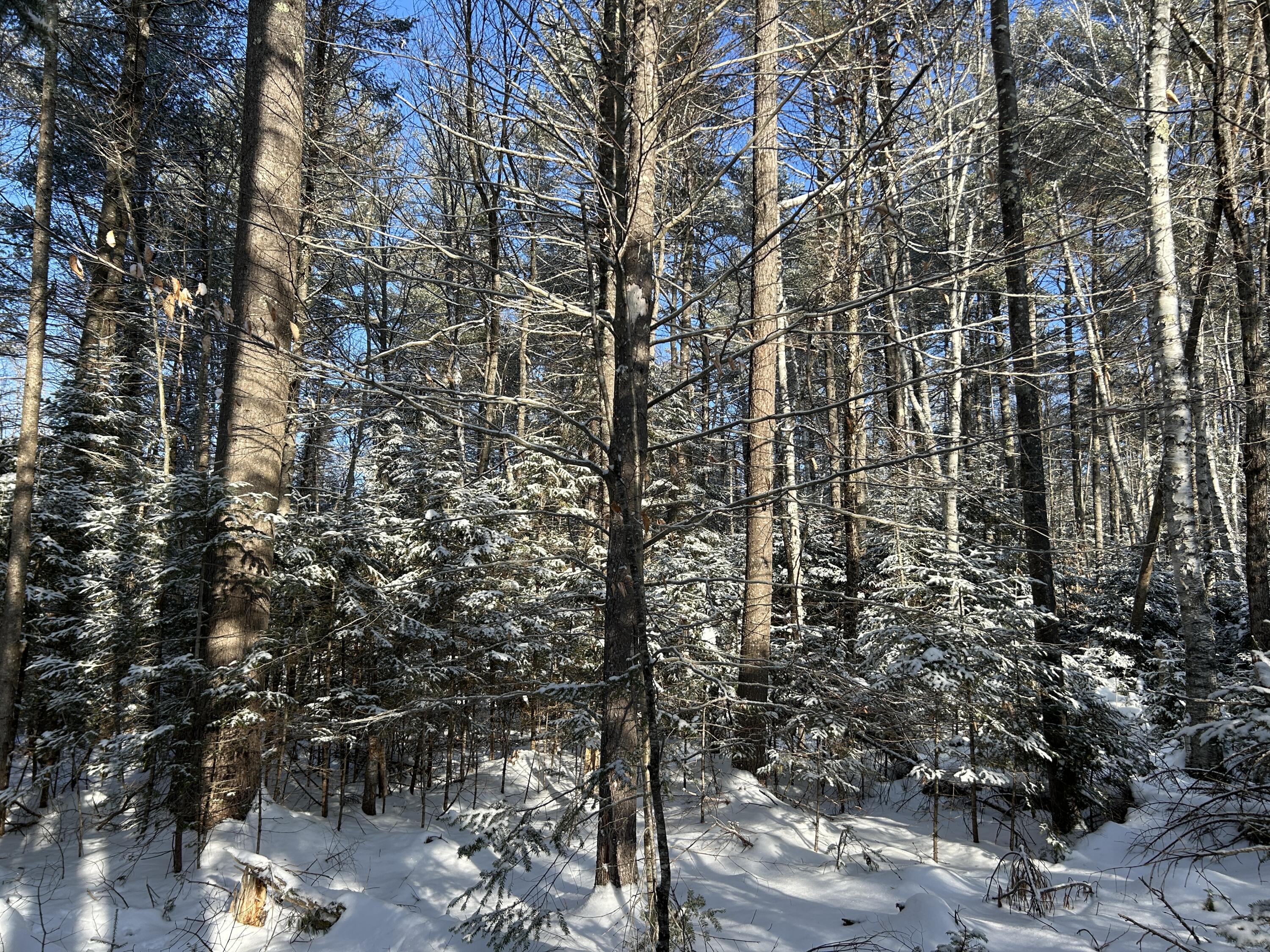 Lot A Holley Road Farmington, ME 04938 - Photo 6 of 28 IMG_6834