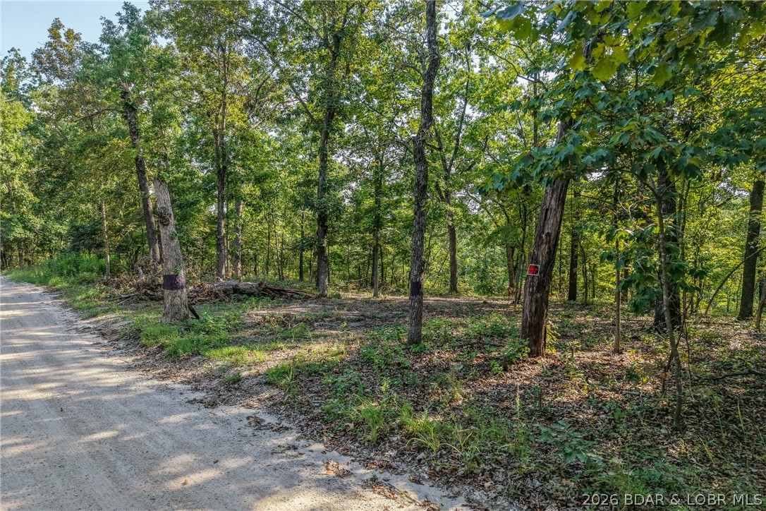 Paul Road Barnett, MO 65011 - Photo 11 of 15 Gallery Image 11