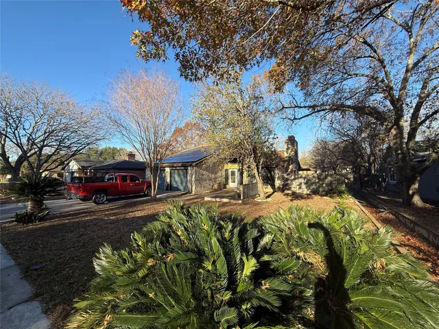 a view of a yard with plants and trees