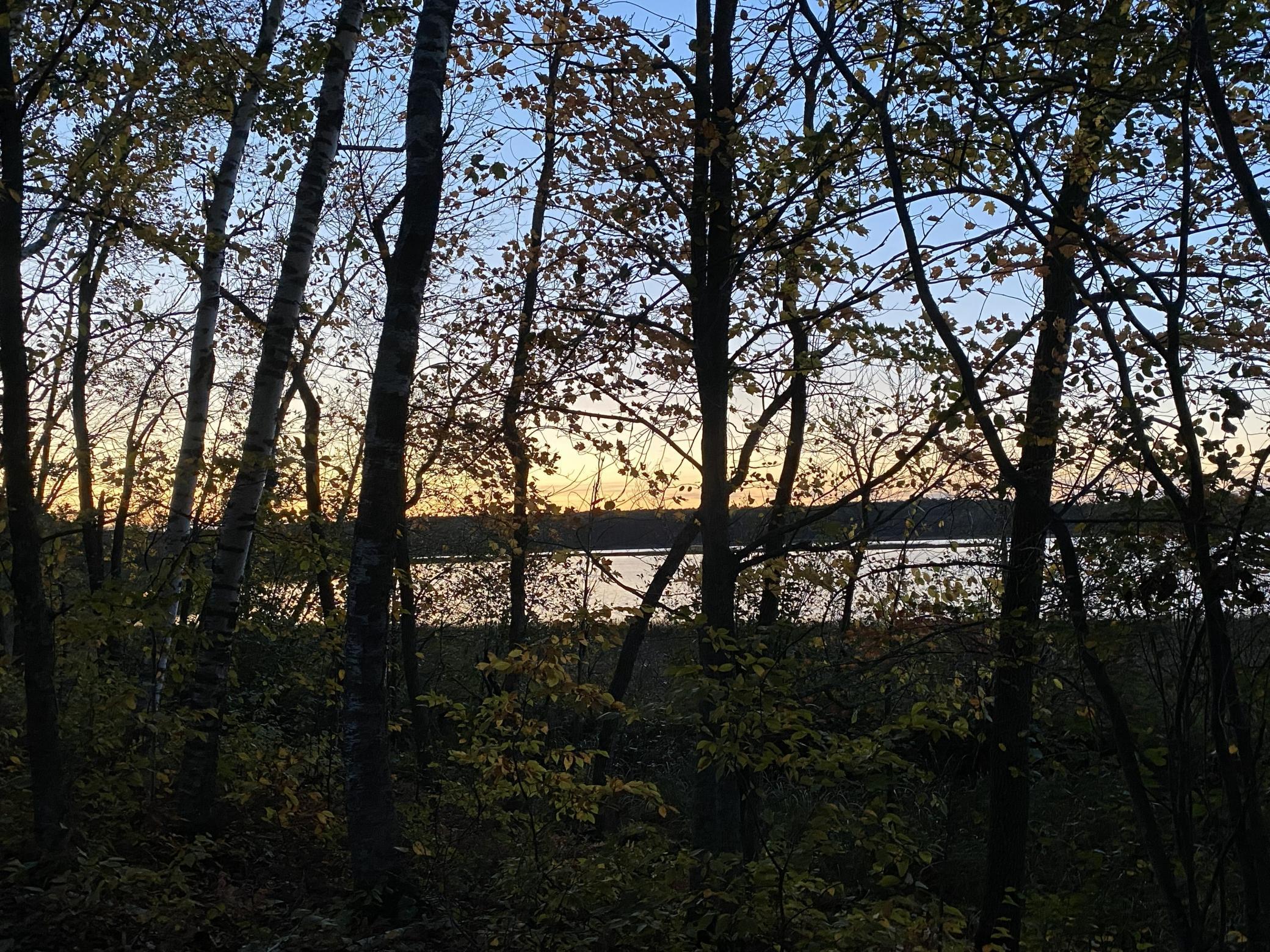 26744 Ross Lake Road Aitkin, MN 56431 - Photo 11 of 15