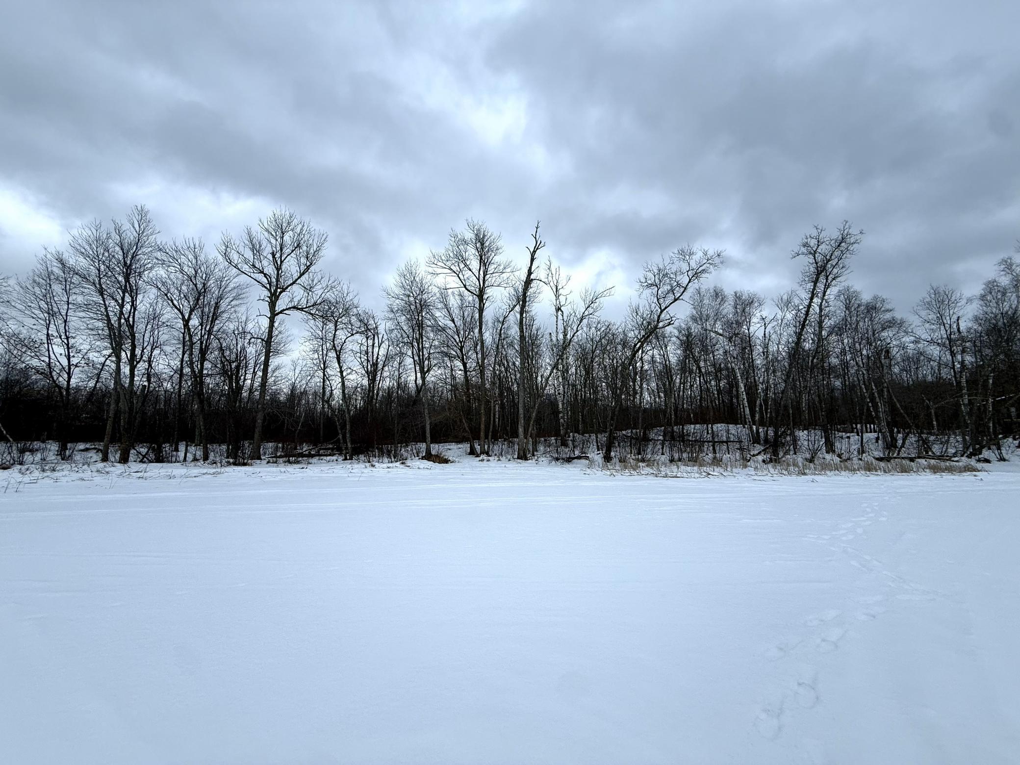 26744 Ross Lake Road Aitkin, MN 56431 - Photo 12 of 15