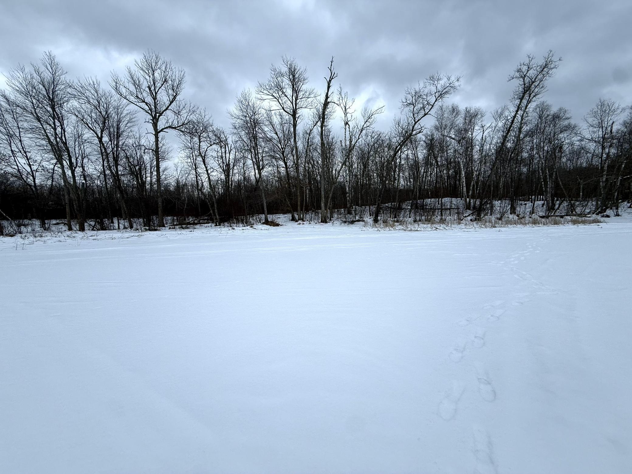 26744 Ross Lake Road Aitkin, MN 56431 - Photo 13 of 15