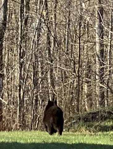 $119,900 | 26744 Ross Lake Road, Aitkin, MN 56431