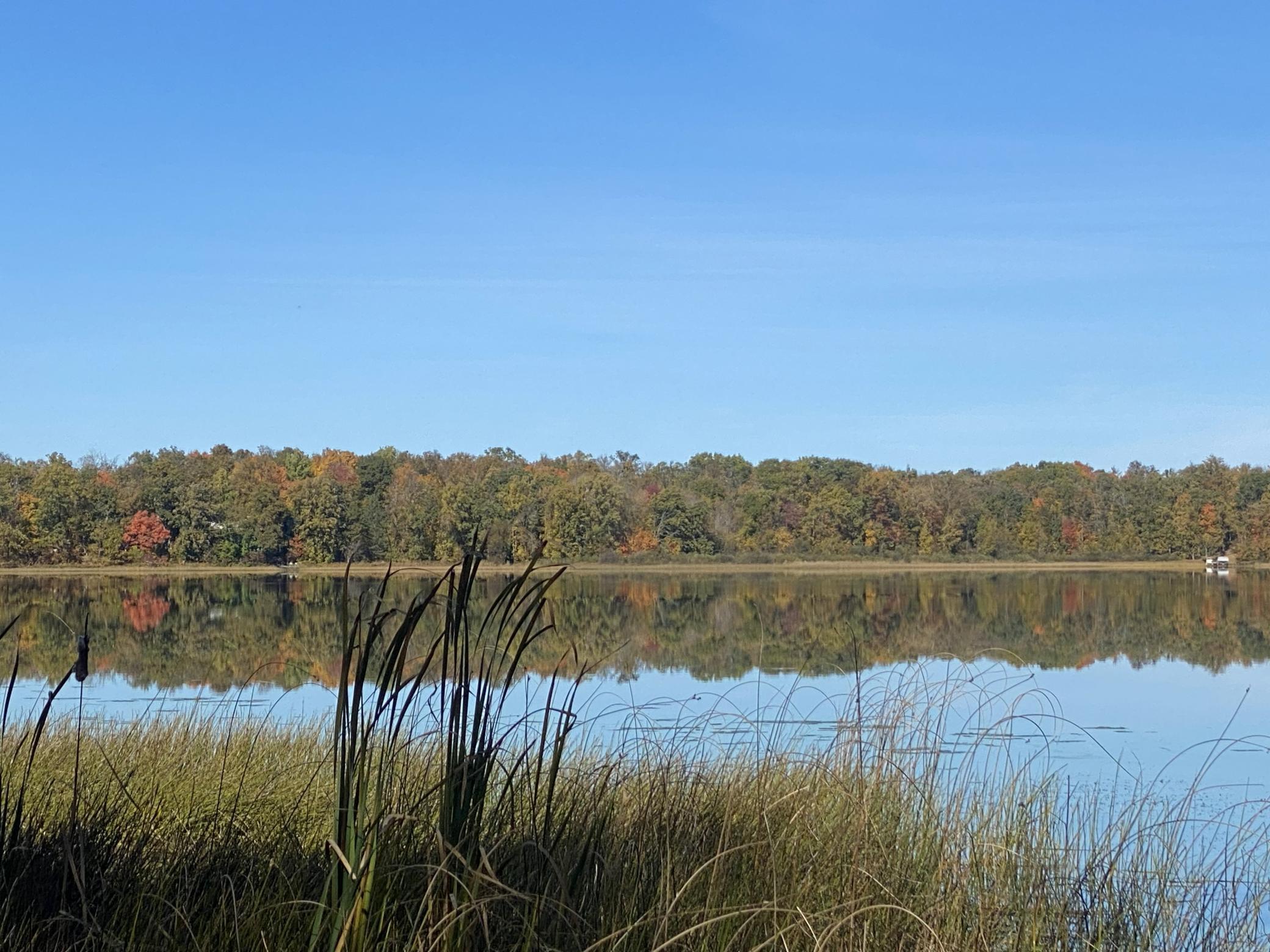 26744 Ross Lake Road Aitkin, MN 56431 - Photo 5 of 15