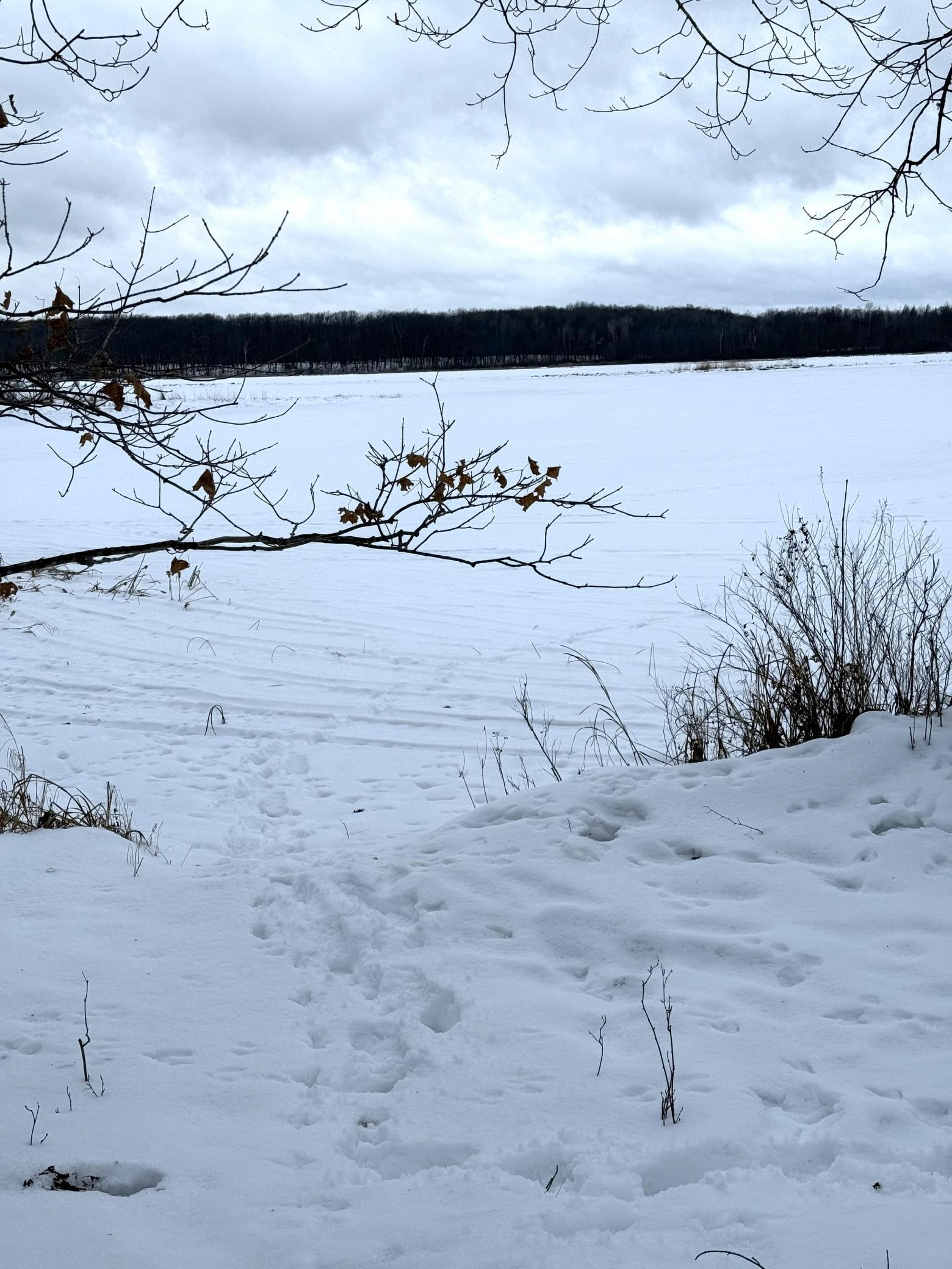 26744 Ross Lake Road Aitkin, MN 56431 - Photo 6 of 15