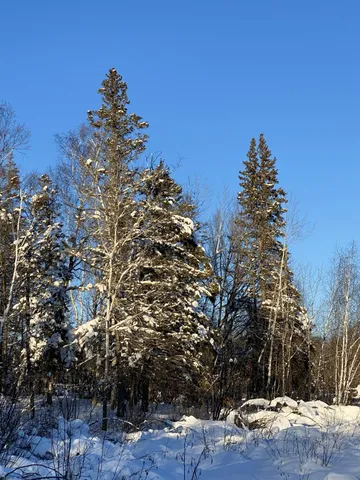 $119,900 | 26744 Ross Lake Road, Aitkin, MN 56431