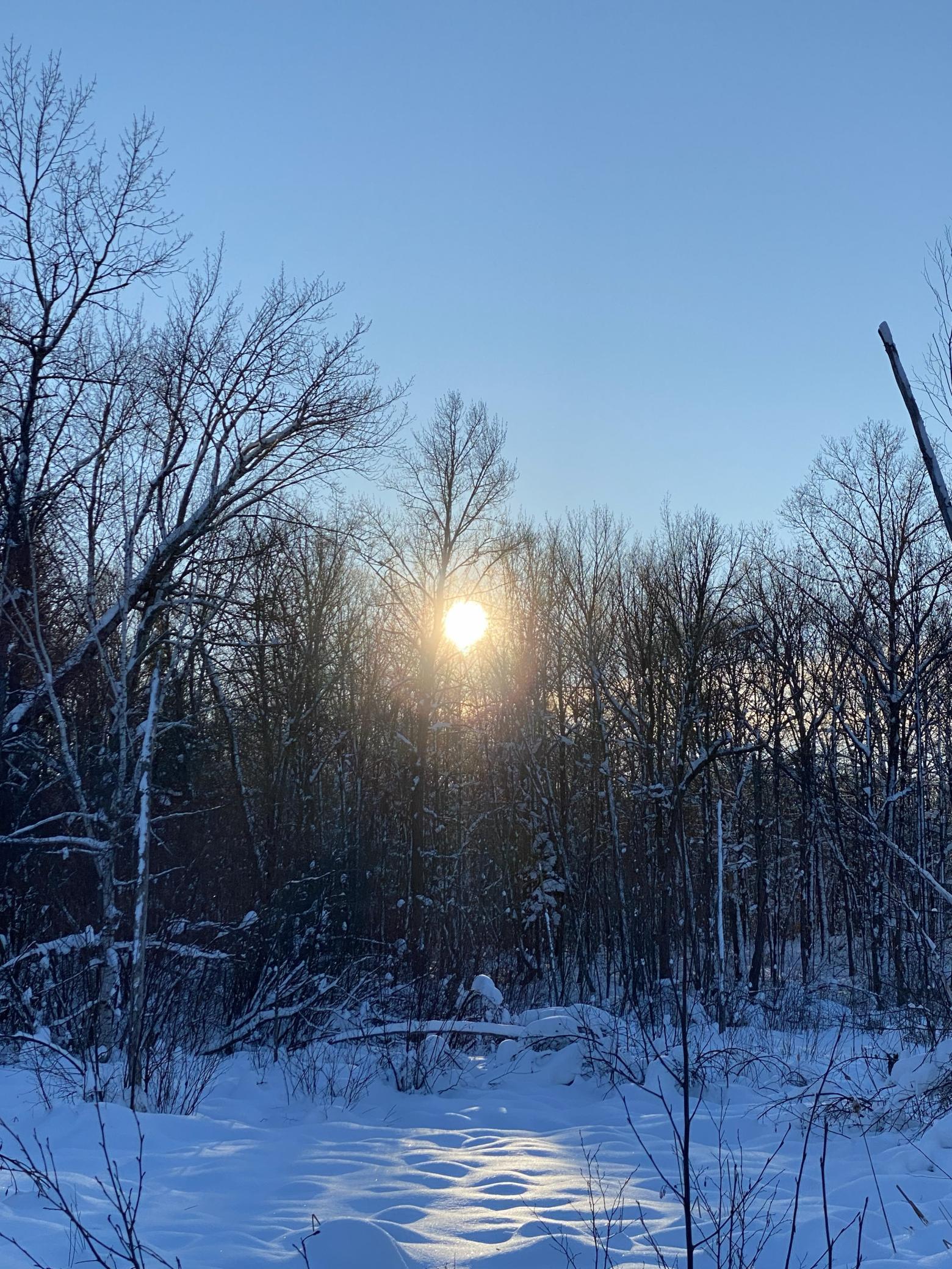 26744 Ross Lake Road Aitkin, MN 56431 - Photo 8 of 15