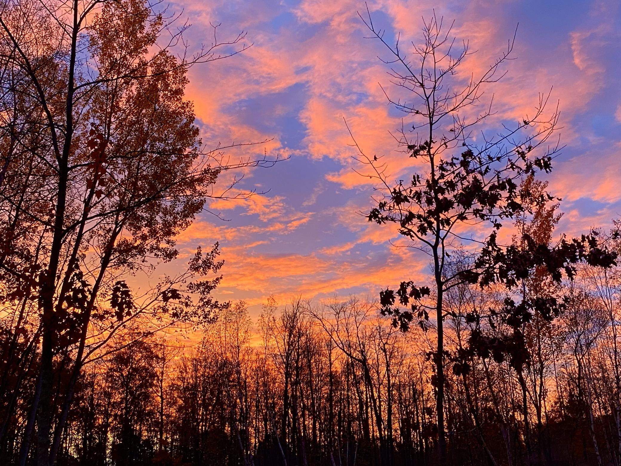 26744 Ross Lake Road Aitkin, MN 56431 - Photo 10 of 15