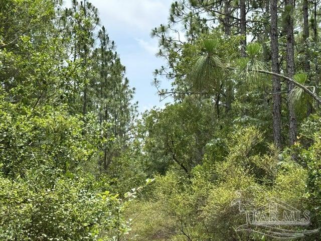 Parcel A North Parcel A N Wildlife Road Holt, FL 32564 - Photo 2 of 4