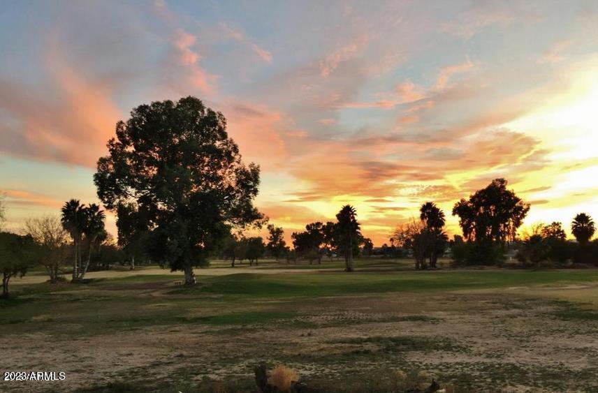 7755 East Thomas Road, Unit 10 Scottsdale, AZ 85251 - Photo 24 of 28 Golf Course