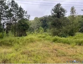 $80,000 | 1 Rolfe Highway, Dendron, VA 23839