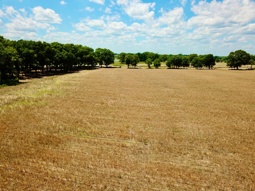92 County Road 92 Slocomb, AL 36375 - Photo 22 of 58