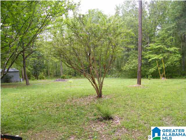 8870 Stouts Road Kimberly, AL 35091 - Photo 2 of 3