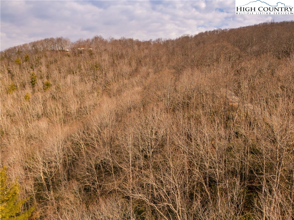 1122 Pine Ridge Road Beech Mountain, NC 28604 - Photo 27 of 38 a view of mountain