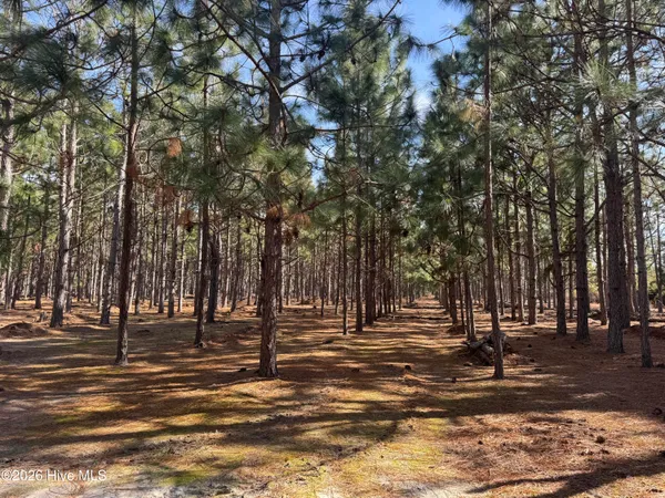 $126,000 | 0 Butler Mill Road, Bladenboro, NC 28320
