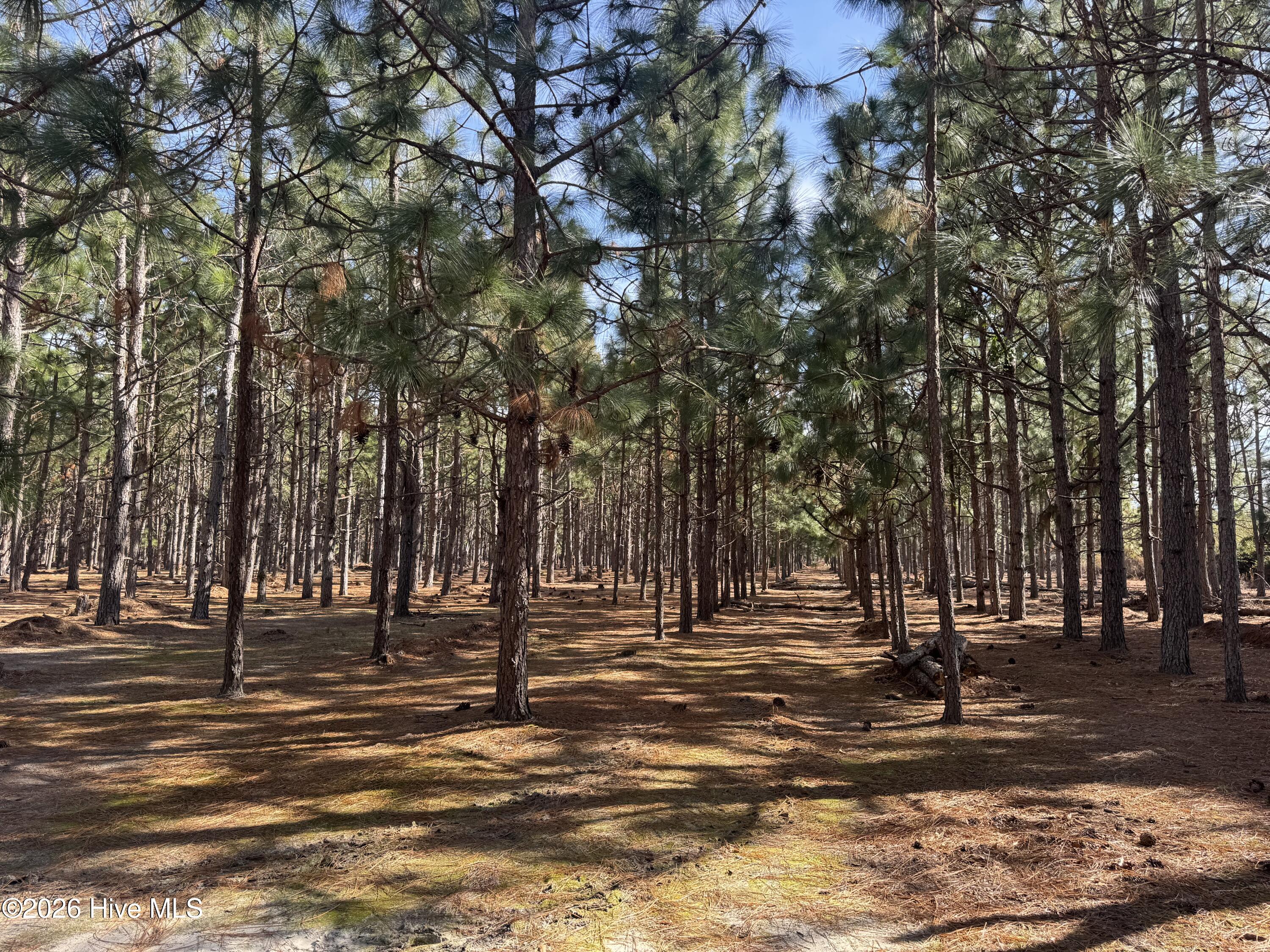 0 Butler Mill Road Bladenboro, NC 28320 - Photo 3 of 7 IMG_3319