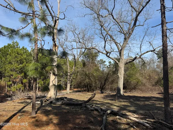 $126,000 | 0 Butler Mill Road, Bladenboro, NC 28320