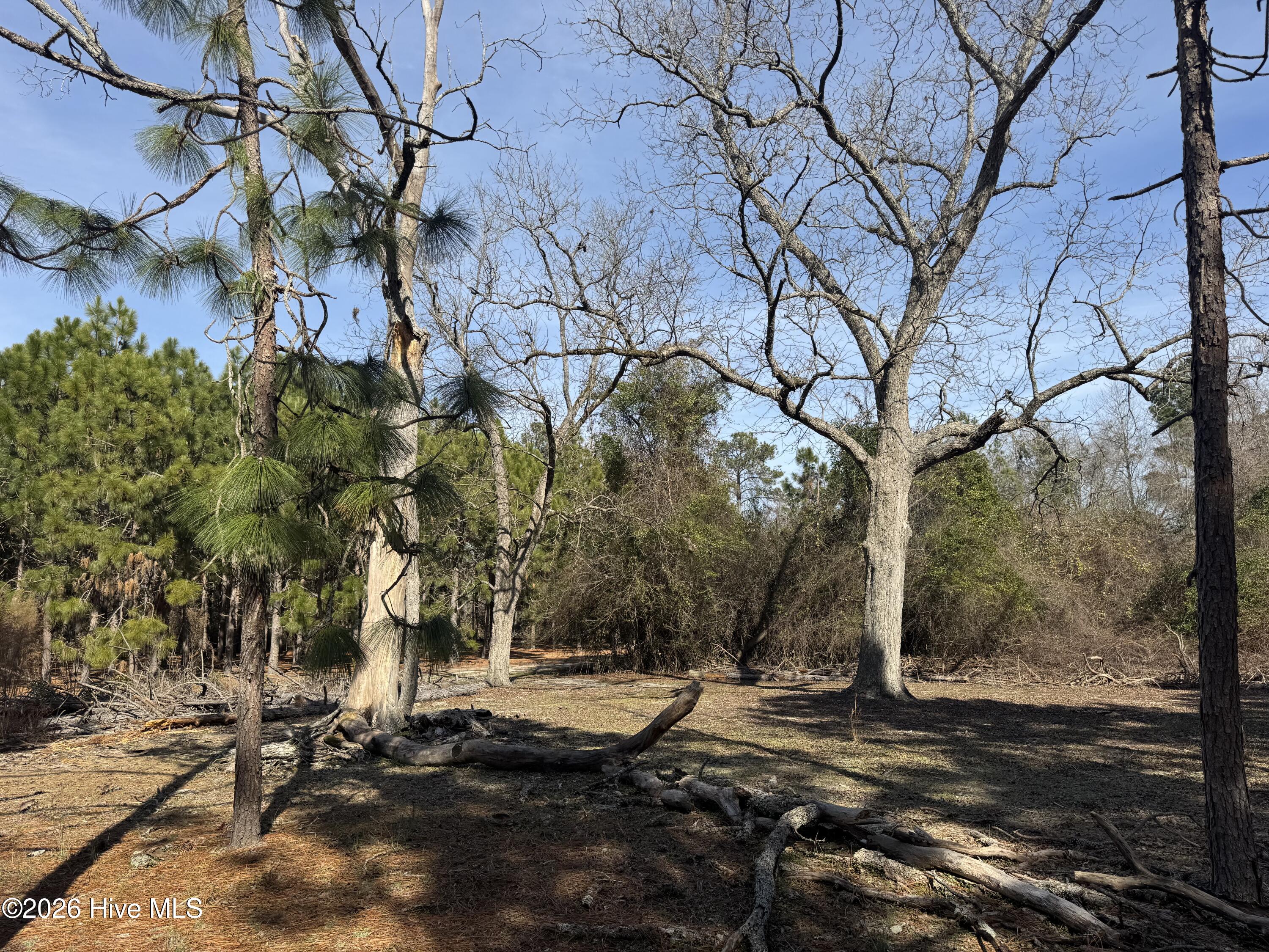 0 Butler Mill Road Bladenboro, NC 28320 - Photo 4 of 7 IMG_3320