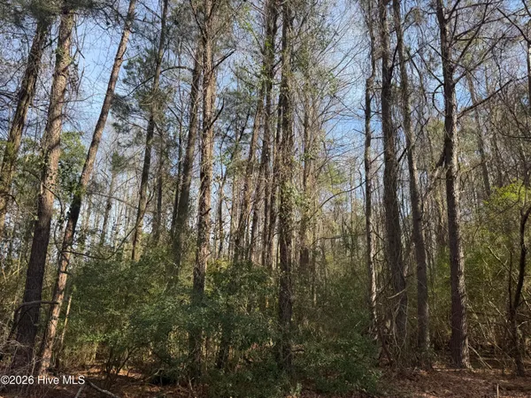 $126,000 | 0 Butler Mill Road, Bladenboro, NC 28320