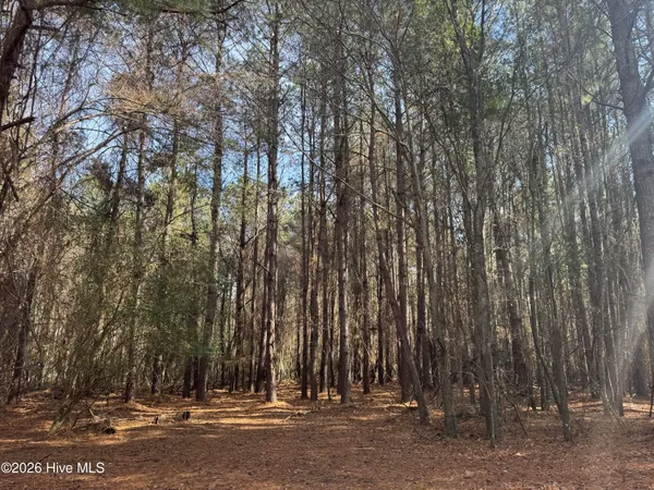 $126,000 | 0 Butler Mill Road, Bladenboro, NC 28320