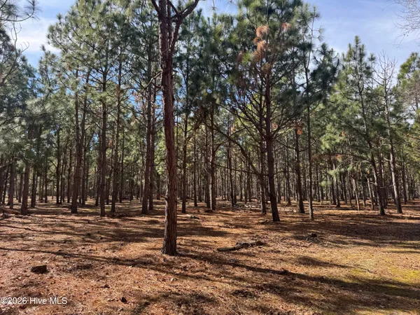 $126,000 | 0 Butler Mill Road, Bladenboro, NC 28320