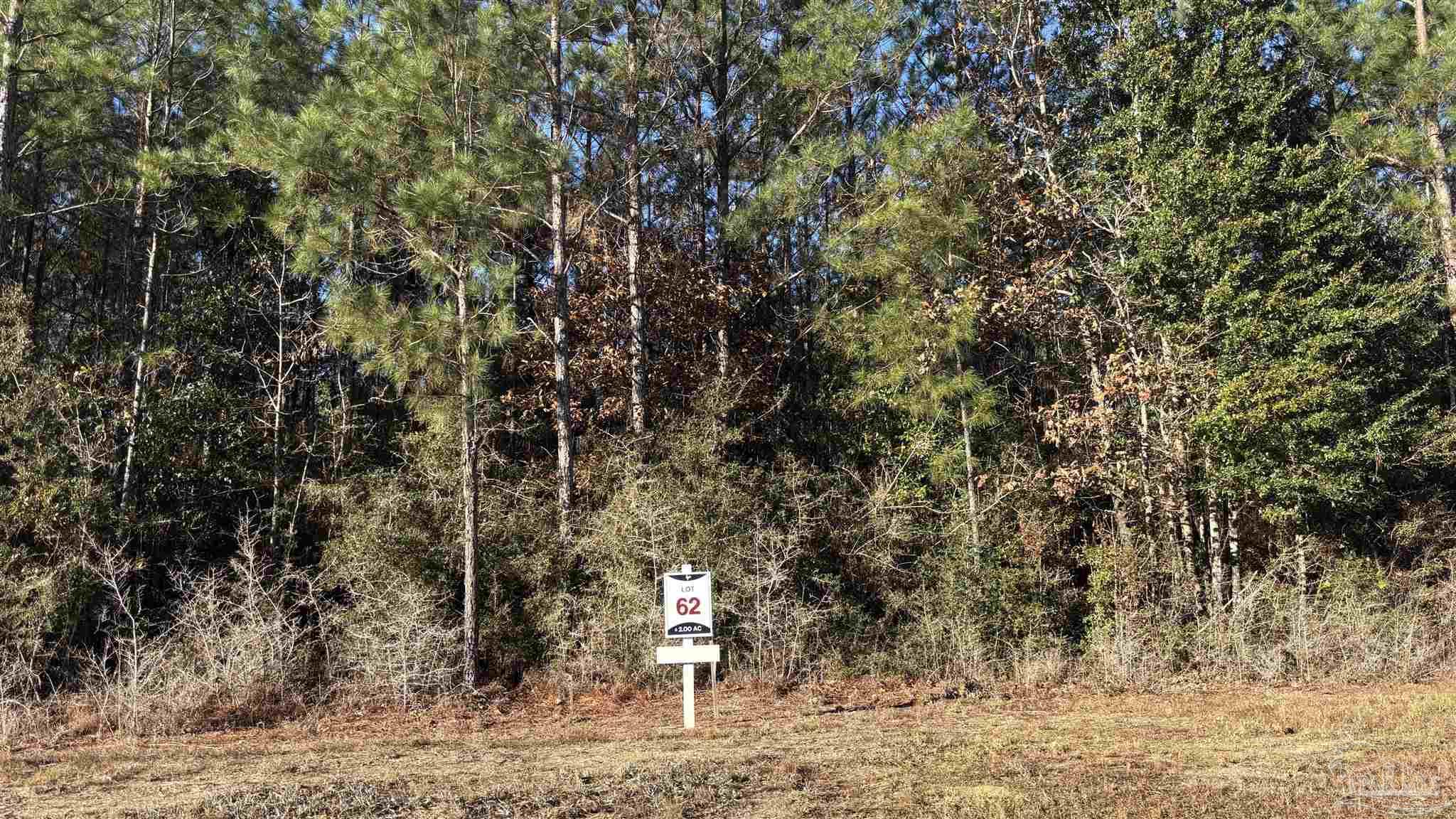 Lot 62 Straw Bridge Road Jay, FL 32565 - Photo 2 of 7