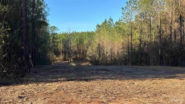 $99,900 | Lot 62 Straw Bridge Road, Jay, FL 32565