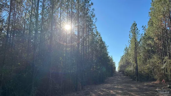 $99,900 | Lot 62 Straw Bridge Road, Jay, FL 32565