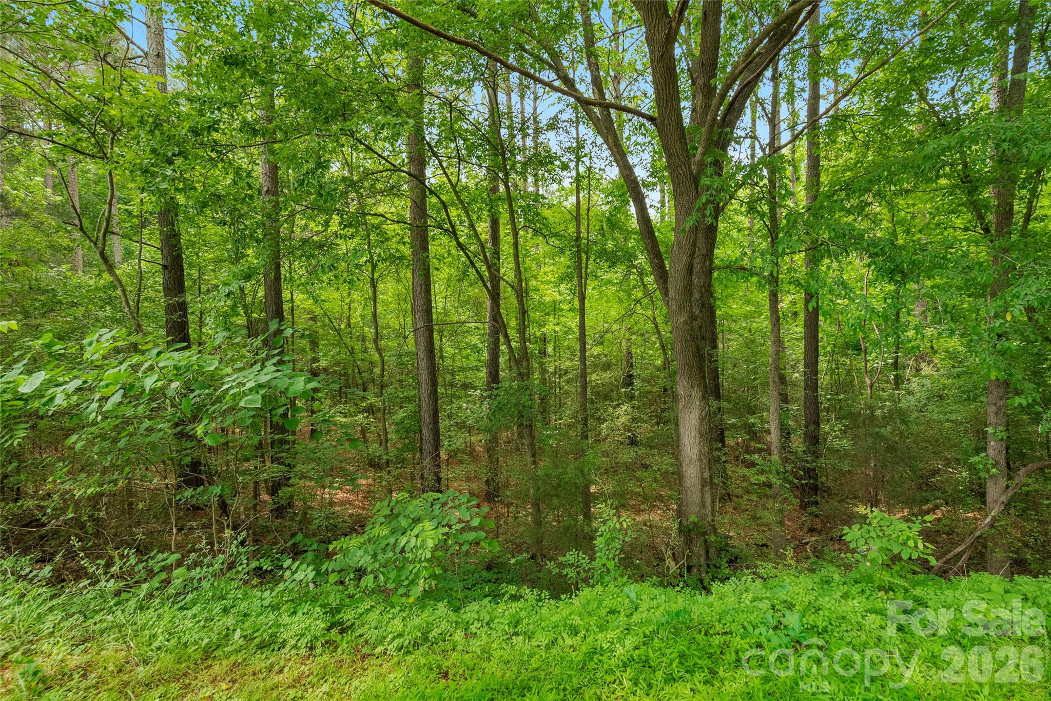 0 Lucy Short Cut Road, Unit 3 Marshville, NC 28103 - Photo 14 of 30