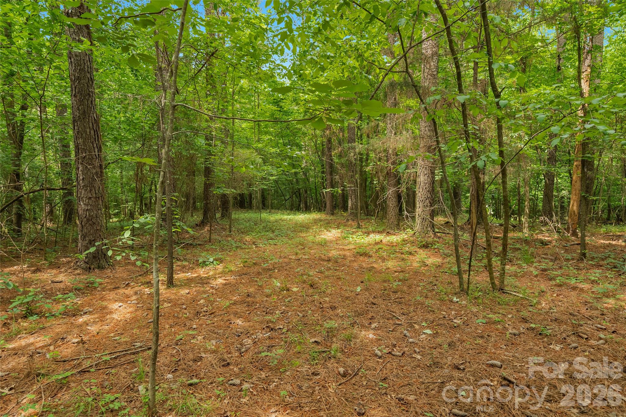 0 Lucy Short Cut Road, Unit 3 Marshville, NC 28103 - Photo 17 of 30
