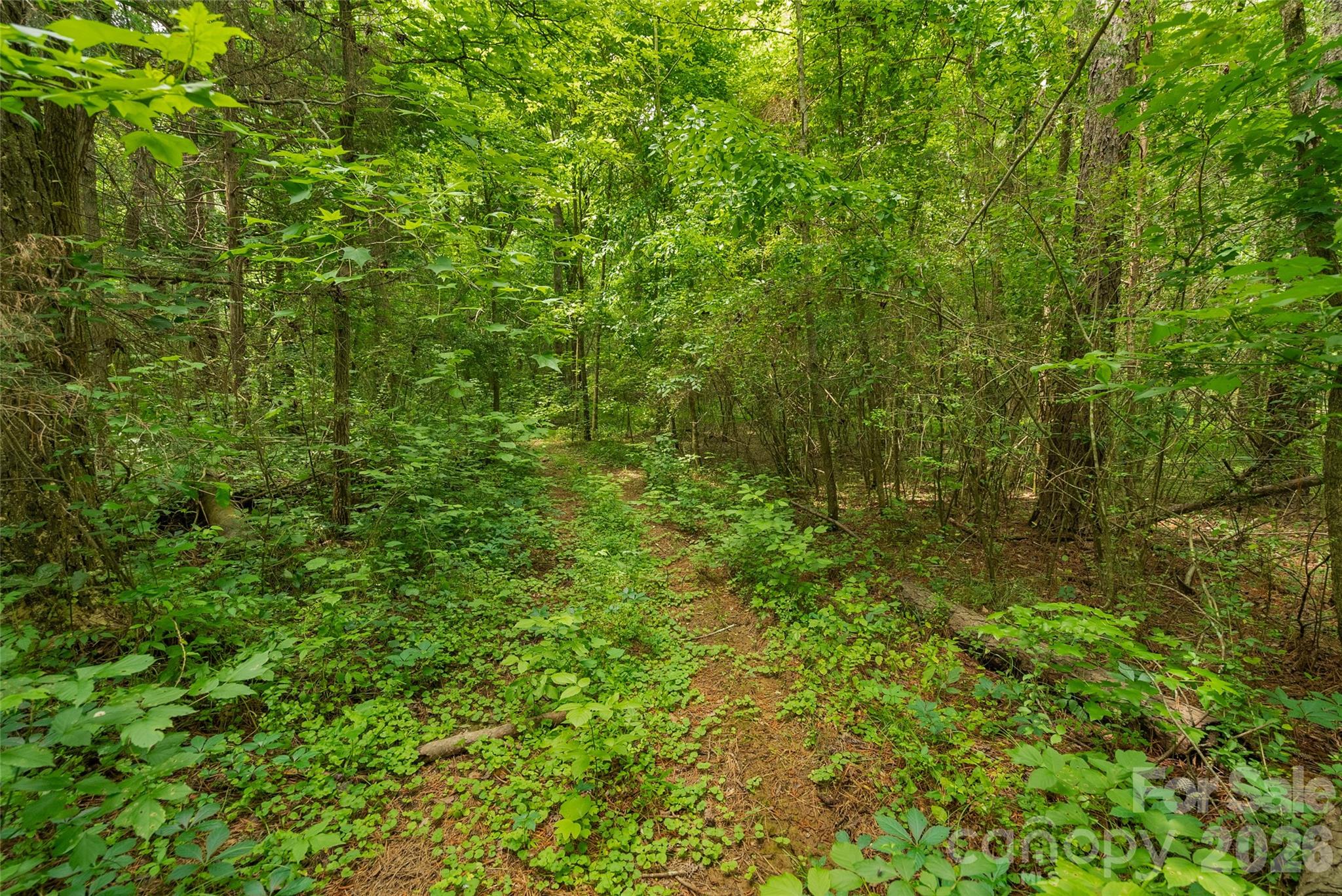 0 Lucy Short Cut Road, Unit 3 Marshville, NC 28103 - Photo 19 of 30
