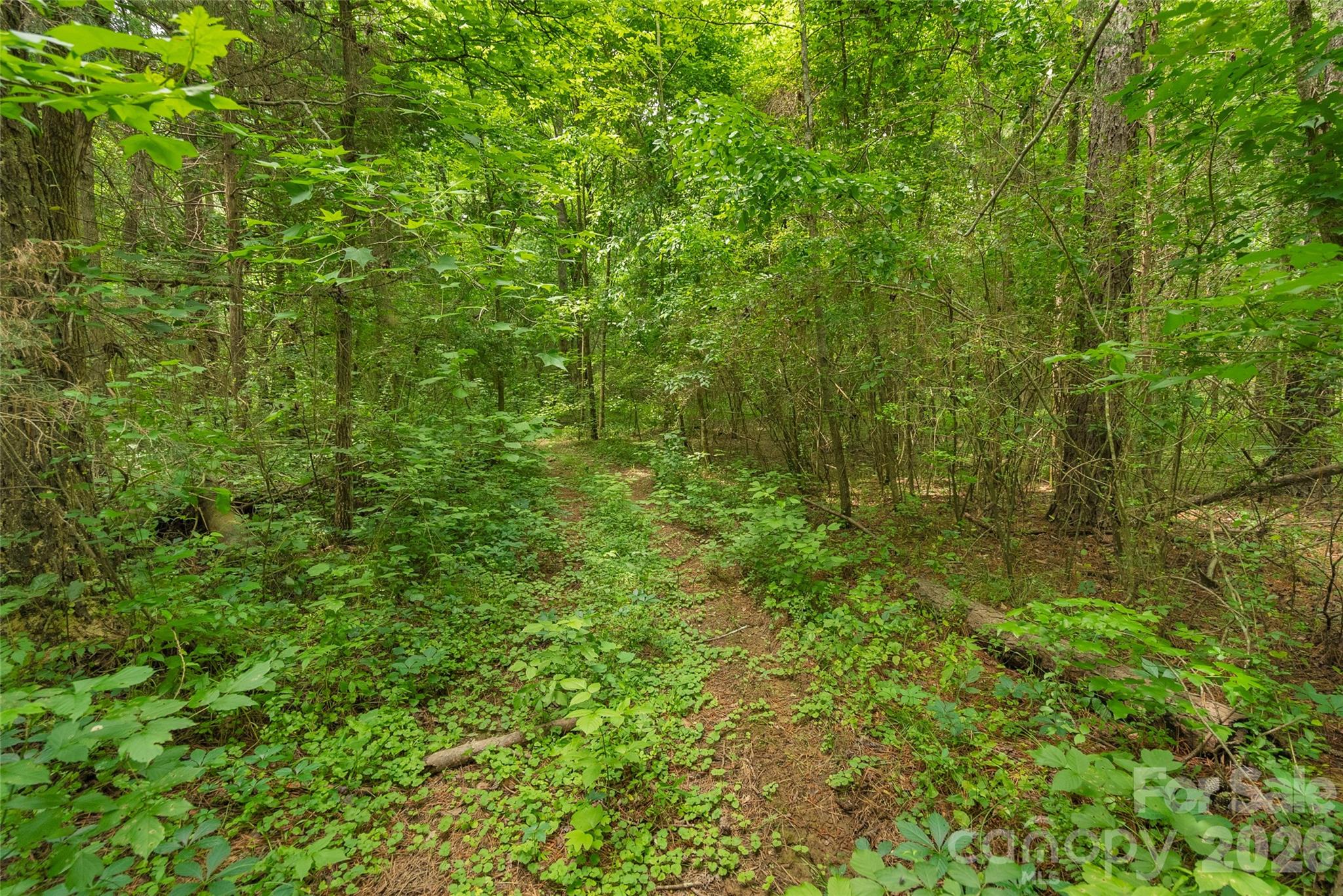 0 Lucy Short Cut Road, Unit 3 Marshville, NC 28103 - Photo 20 of 30