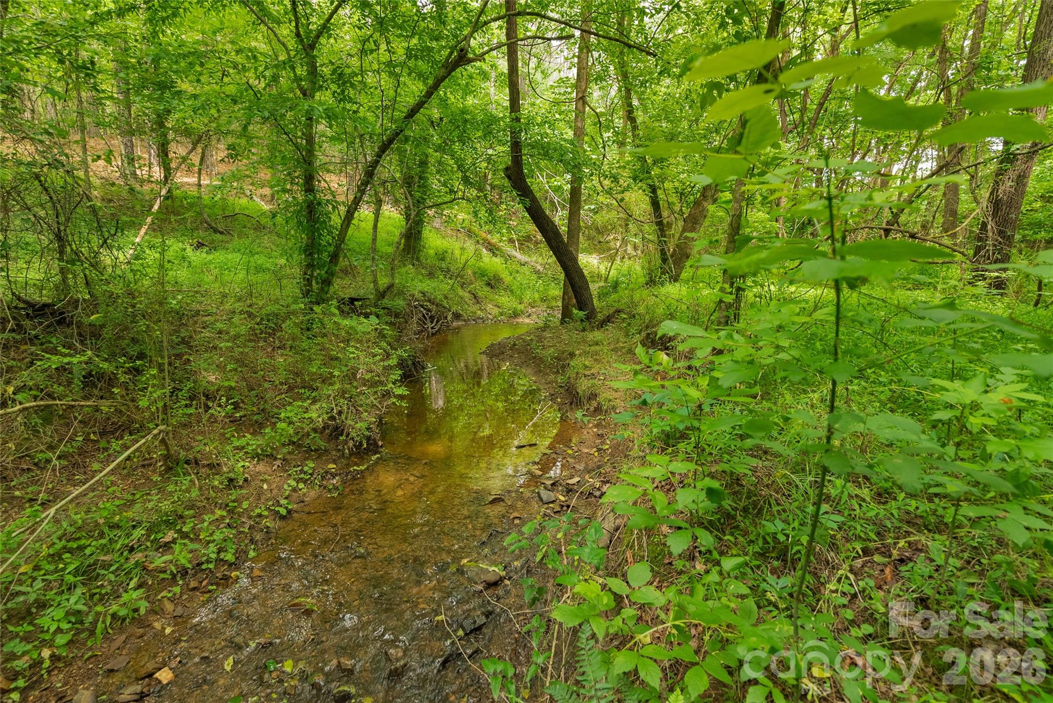 0 Lucy Short Cut Road, Unit 3 Marshville, NC 28103 - Photo 2 of 30