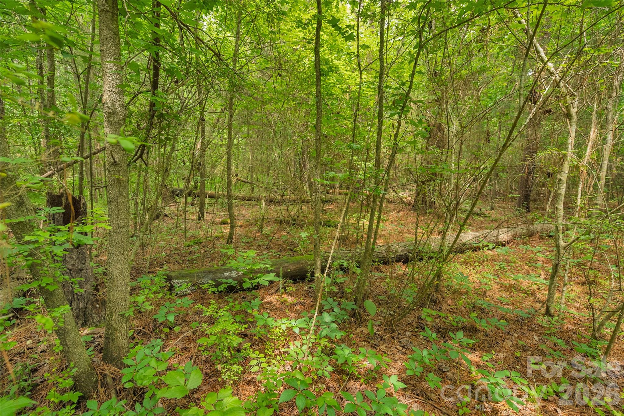 0 Lucy Short Cut Road, Unit 3 Marshville, NC 28103 - Photo 21 of 30