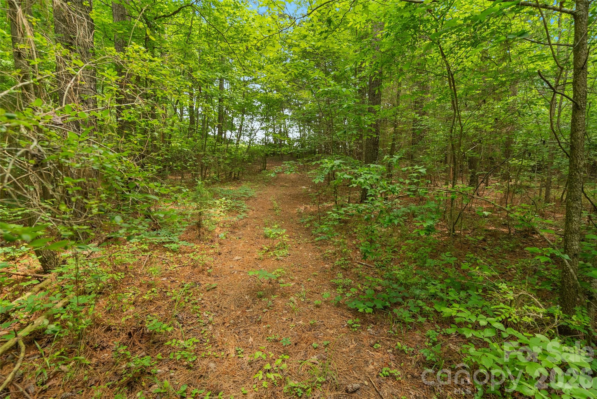 0 Lucy Short Cut Road, Unit 3 Marshville, NC 28103 - Photo 22 of 30
