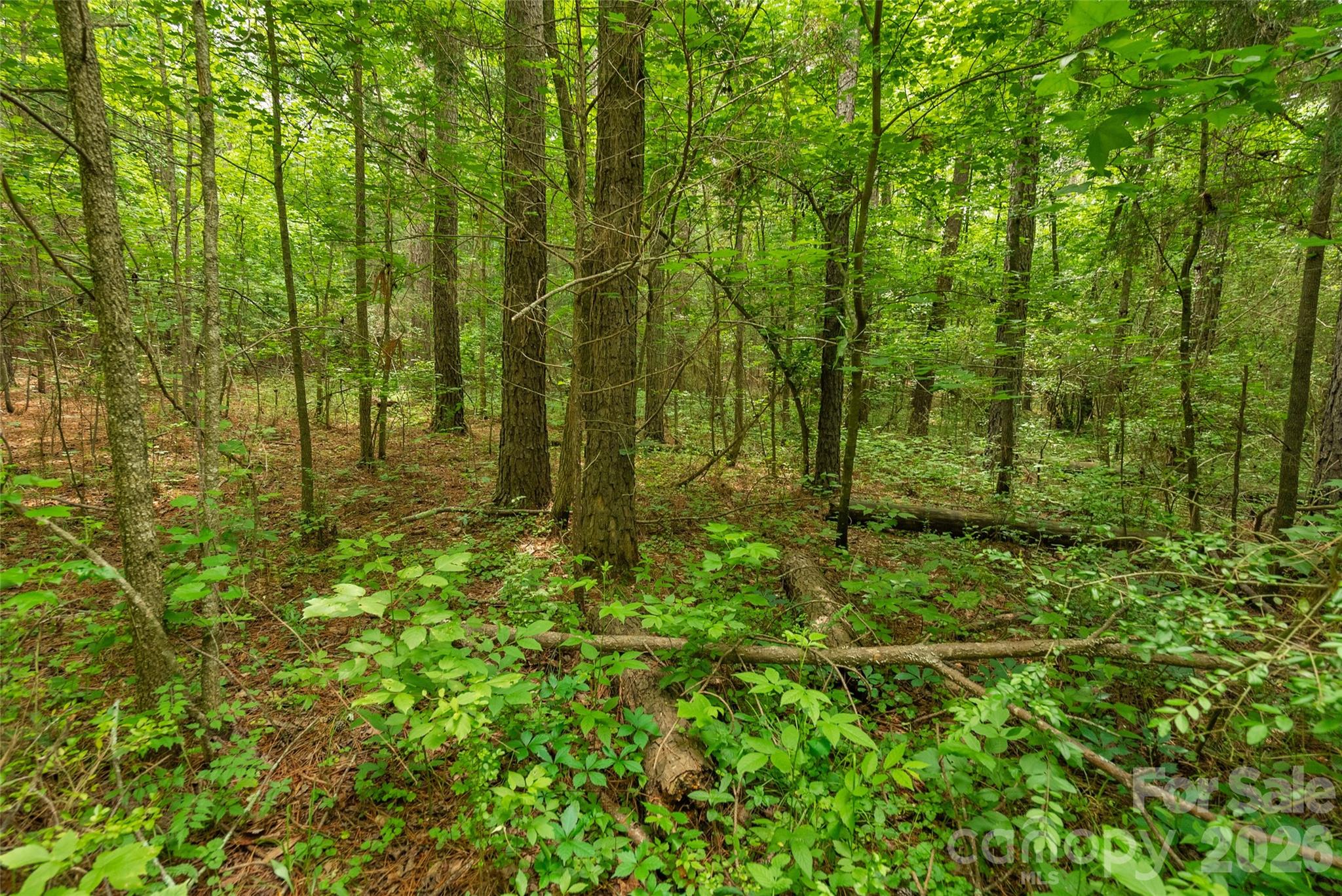 0 Lucy Short Cut Road, Unit 3 Marshville, NC 28103 - Photo 23 of 30