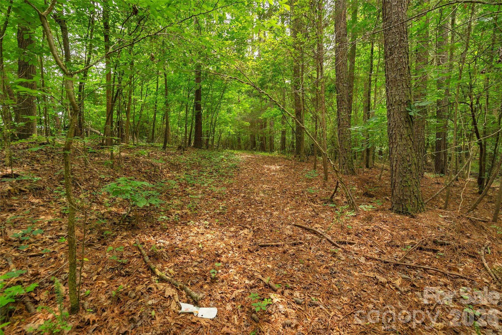 0 Lucy Short Cut Road, Unit 3 Marshville, NC 28103 - Photo 24 of 30